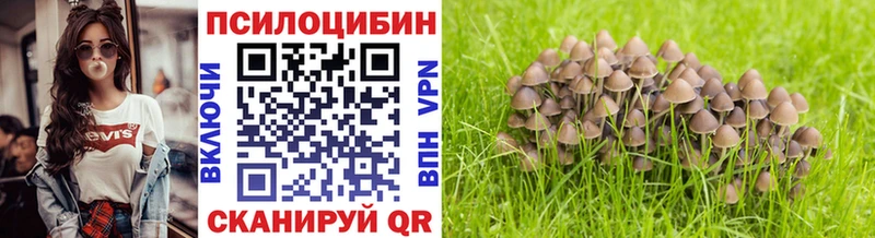 Псилоцибиновые грибы MAGIC MUSHROOMS Сортавала